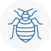 Bed Bug Extermination In Hindhead